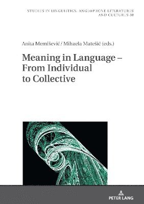 bokomslag Meaning in Language - From Individual to Collective
