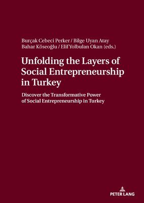 bokomslag Unfolding the Layers of Social Entrepreneurship in Turkey