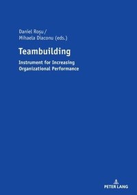 bokomslag Teambuilding
