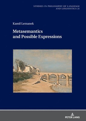 bokomslag Metasemantics and Possible Expressions