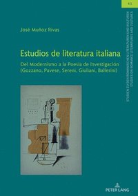 bokomslag Estudios de literatura italiana