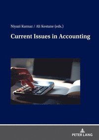 bokomslag Current Issues in Accounting