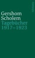 bokomslag Tagebücher nebst Aufsätzen und Entwürfen bis 1923