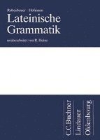 bokomslag Lateinische Grammatik