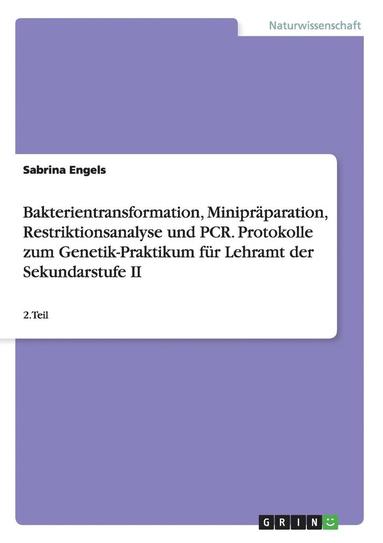 bokomslag Bakterientransformation, Minipraparation, Restriktionsanalyse Und PCR. Protokolle Zum Genetik-Praktikum Fur Lehramt Der Sekundarstufe II