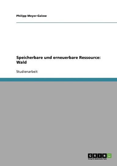 bokomslag Speicherbare und erneuerbare Ressource