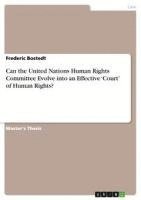 bokomslag Can the United Nations Human Rights Committee Evolve Into an Effective 'Court' of Human Rights?