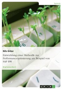 bokomslag Entwicklung einer Methodik zur Performanceoptimierung am Beispiel von SAP BW