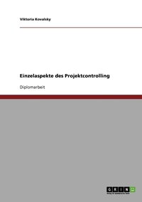 bokomslag Einzelaspekte des Projektcontrolling