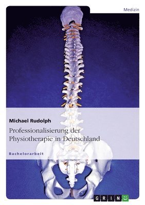 bokomslag Professionalisierung der Physiotherapie in Deutschland