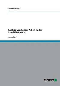 bokomslag Analyse Von Fodors Arbeit in Der Identitatstheorie