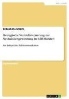 bokomslag Strategische Vertriebssteuerung Zur Neukundengewinnung in B2B-Markten