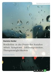 bokomslag Borderline in Der Praxis Der Sozialen Arbeit. Symptome, Erklarungsansatze, Therapiemoglichkeiten