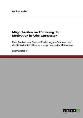 bokomslag Mglichkeiten zur Frderung der Motivation in Arbeitsprozessen