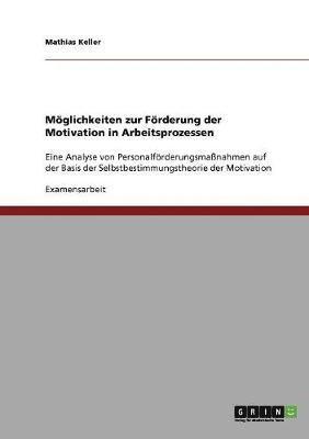 bokomslag Möglichkeiten zur Förderung der Motivation in Arbeitsprozessen