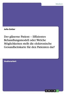 bokomslag gläserne Patient - Effizientes Behandlungsmodell oder