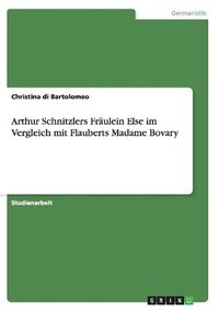 bokomslag Arthur Schnitzlers Frulein Else im Vergleich mit Flauberts Madame Bovary