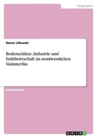 bokomslag Bodenschätze, Industrie und Erdölwirtschaft im nordwestlichen Südamerika