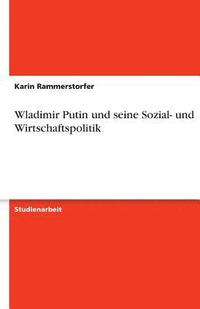 bokomslag Wladimir Putin Und Seine Sozial- Und Wirtschaftspolitik