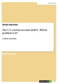 bokomslag The U.S. current account deficit - Whose problem is it?