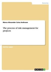 bokomslag The process of risk management for projects
