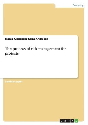 bokomslag The process of risk management for projects