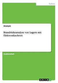 bokomslag Brandrisikoanalyse von Lagern mit Elektronikschrott