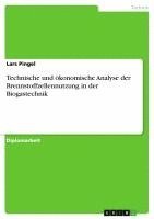 bokomslag Technische Und Okonomische Analyse Der Brennstoffzellennutzung in Der Biogastechnik