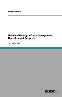 bokomslag Netz- und Leitungsinformationssysteme