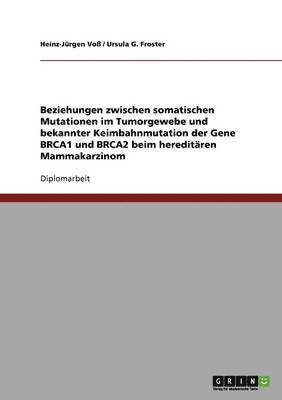 bokomslag Beziehungen zwischen somatischen Mutationen im Tumorgewebe und bekannter Keimbahnmutation der Gene BRCA1 und BRCA2 beim hereditären Mammakarzinom