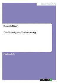 bokomslag Prinzip der Verbrennung