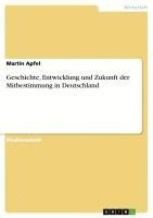 bokomslag Geschichte, Entwicklung Und Zukunft Der Mitbestimmung in Deutschland