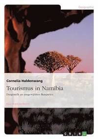 bokomslag Tourismus in Namibia