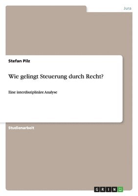Stefan Pilz - Wie gelingt Steuerung durch Recht?, Häftad