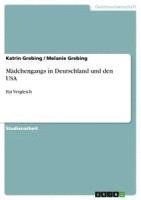 bokomslag Madchengangs in Deutschland Und Den USA