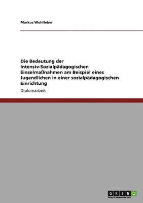 Bedeutung der Intensiv-Sozialpädagogischen Einzelmaßnahmen am Beispiel eines Jugendlichen in einer sozialpädagogischen Einrichtung