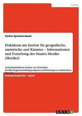 bokomslag Praktikum Am Institut F R Geografische, Statistische Und Kataster - Informationen Und Forschung Des Staates Mexiko (Mexiko)