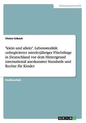 bokomslag Klein Und Allein. Lebensrealitat Unbegleiteter Minderjahriger Fluchtlinge in Deutschland VOR Dem Hintergrund International Anerkannter Standards Und