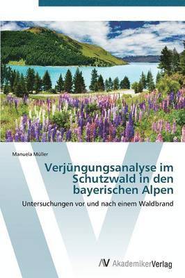 bokomslag Verjungungsanalyse Im Schutzwald in Den Bayerischen Alpen