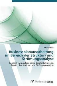 bokomslag Businessplanausarbeitung im Bereich der Struktur- und Strmungsanalyse