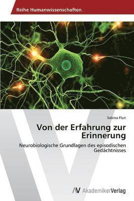 bokomslag Von der Erfahrung zur Erinnerung