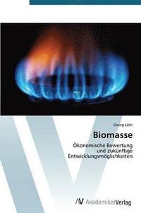 bokomslag Biomasse