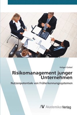 bokomslag Risikomanagement junger Unternehmen