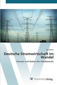 bokomslag Deutsche Stromwirtschaft im Wandel