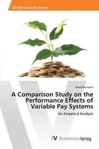 bokomslag A Comparison Study on the Performance Effects of Variable Pay Systems
