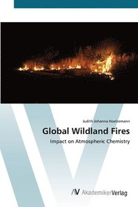 bokomslag Global Wildland Fires