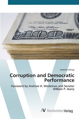 bokomslag Corruption and Democratic Performance