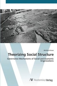 bokomslag Theorizing Social Structure