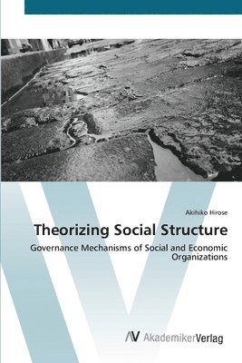 bokomslag Theorizing Social Structure