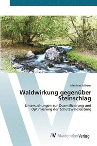 bokomslag Waldwirkung gegenber Steinschlag